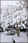 DigitalScape Photography